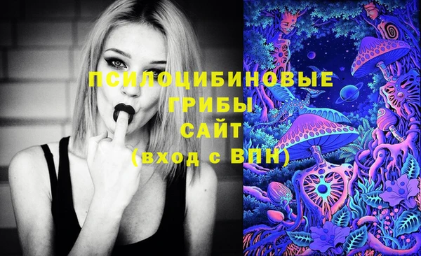 бошки Арсеньев