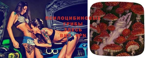 трава Армянск