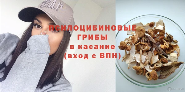трава Армянск