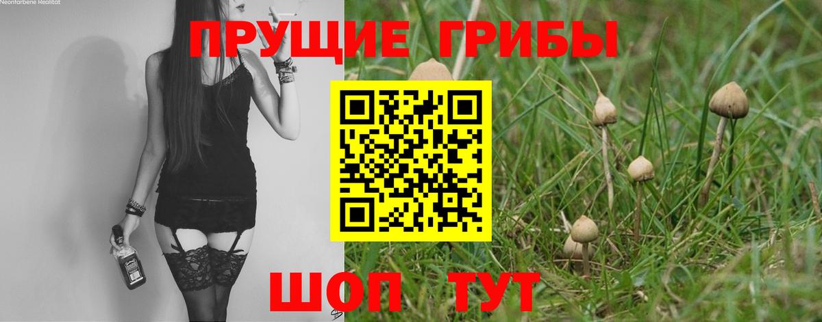 Галлюциногенные грибы мицелий  Вход с VPN  Темрюк 