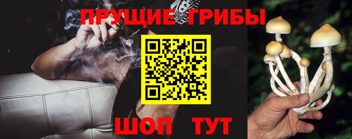 Псилоцибиновые грибы мицелий Темрюк