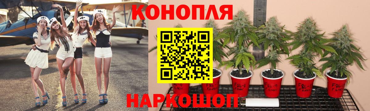 Темрюк  Марихуана SATIVA & INDICA  Каннабис Ganja  Вход с VPN  Канабис семена 